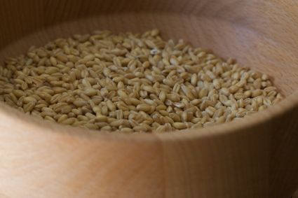 Animal food, grain & oilseed milling